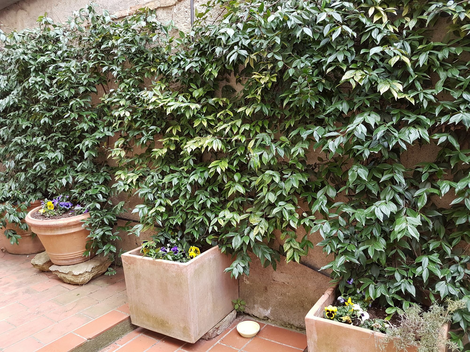 Apartament Casa Bardi San Gimignano Zewnętrze zdjęcie